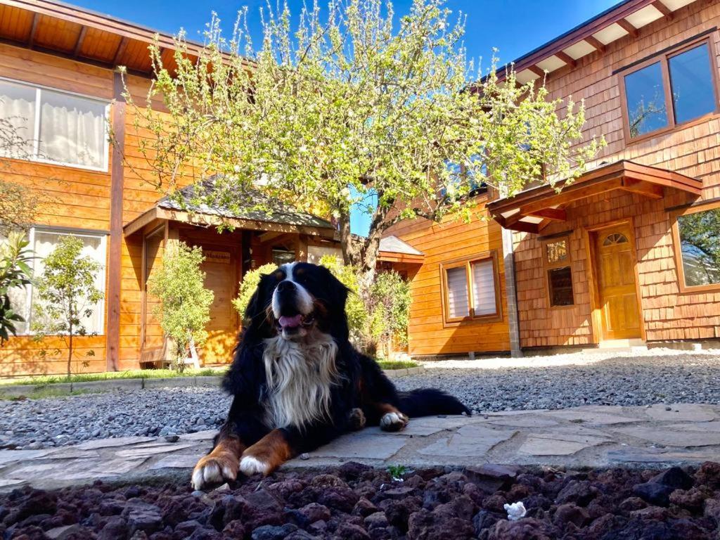 Alojamento Cabanas El Maqui